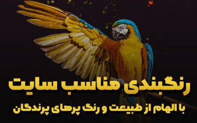 رنگبندی سایت با الهام از طبیعت و ترکیب رنگ پرندگان