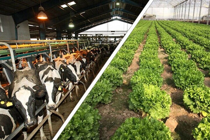 کشاورزی و دامپروری با شیوه نوین